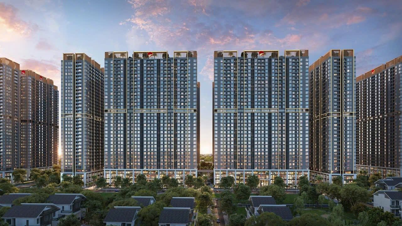 dự án the flame vine hinode royal park